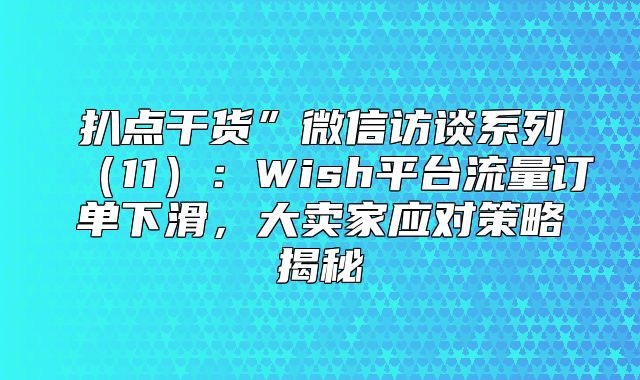 扒点干货”微信访谈系列11：Wish平台流量订单下滑，大卖家应对策略揭秘