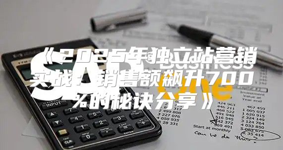 2025年独立站营销实战：销售额飙升700%的秘诀分享