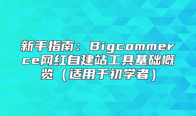 新手指南：Bigcommerce网红自建站工具基础概览适用于初学者