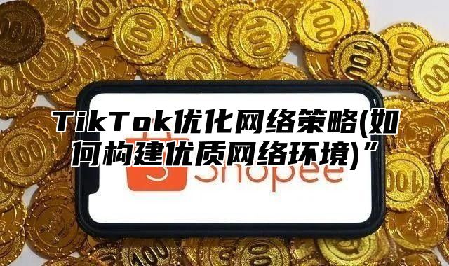 TikTok优化网络策略(如何构建优质网络环境)”