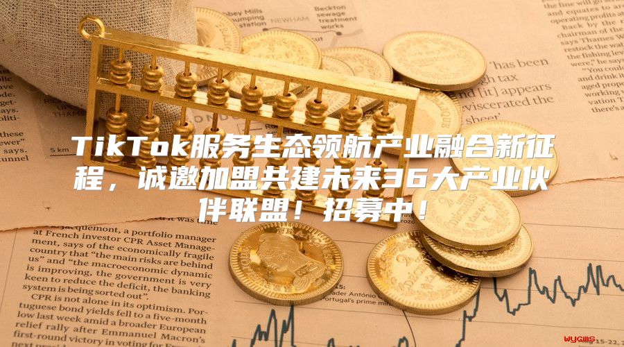 TikTok服务生态领航产业融合新征程，诚邀加盟共建未来36大产业伙伴联盟！招募中！