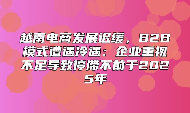越南电商发展迟缓，B2B模式遭遇冷遇：企业重视不足导致停滞不前于2025年