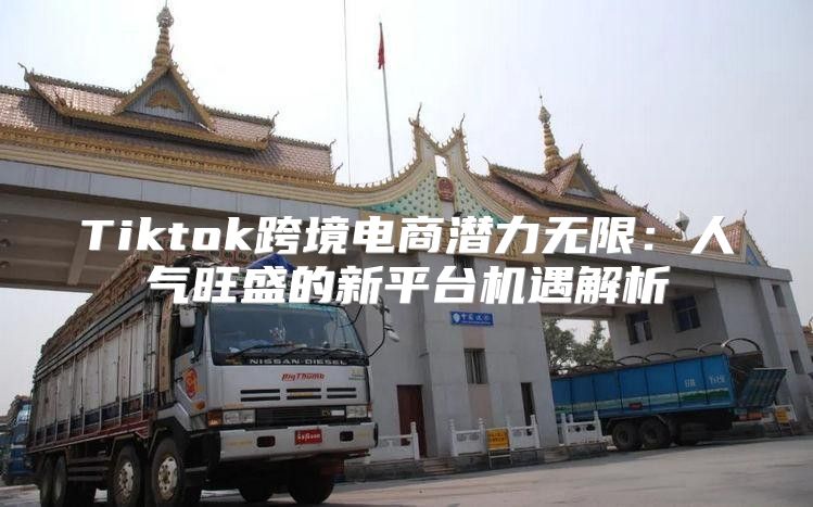 Tiktok跨境电商潜力无限：人气旺盛的新平台机遇解析