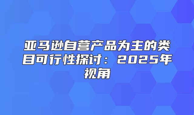 亚马逊自营产品为主的类目可行性探讨：2025年视角