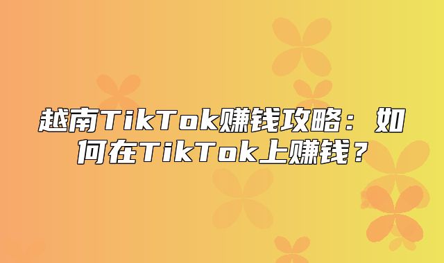 越南TikTok赚钱攻略：如何在TikTok上赚钱？
