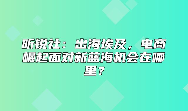 昕锐社：出海埃及，电商崛起面对新蓝海机会在哪里？