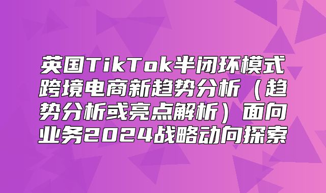 英国TikTok半闭环模式跨境电商新趋势分析趋势分析或亮点解析面向业务2025战略动向探索