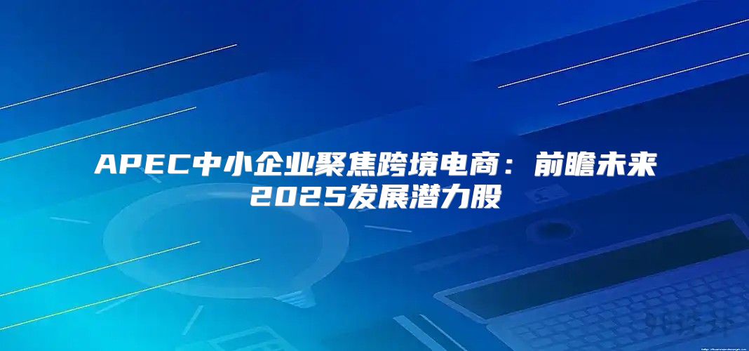 APEC中小企业聚焦跨境电商：前瞻未来2025发展潜力股
