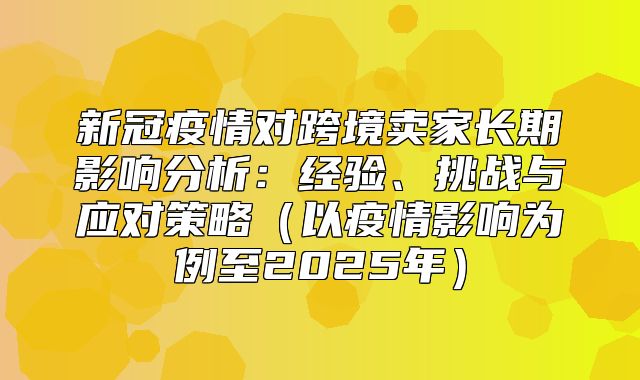 新冠疫情对跨境卖家长期影响分析：经验、挑战与应对策略以疫情影响为例至2025年