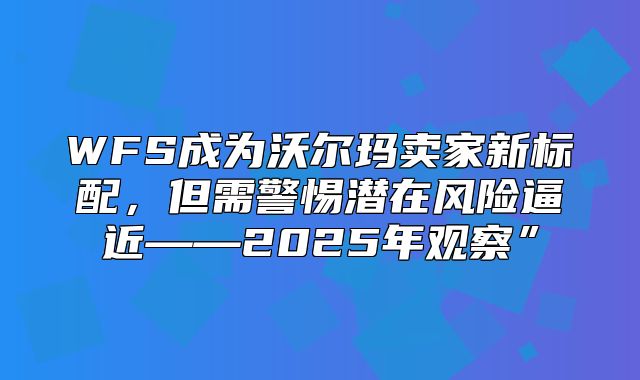 WFS成为沃尔玛卖家新标配，但需警惕潜在风险逼近——2025年观察”