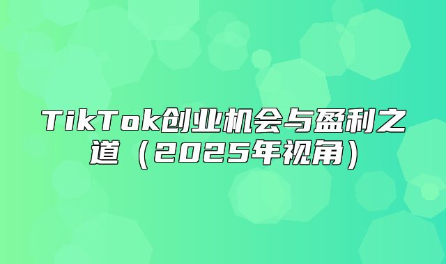 TikTok创业机会与盈利之道2025年视角