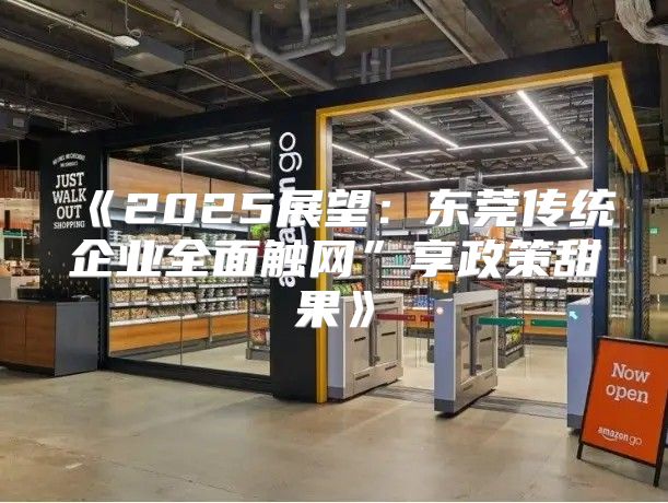 2025展望：东莞传统企业全面触网”享政策甜果