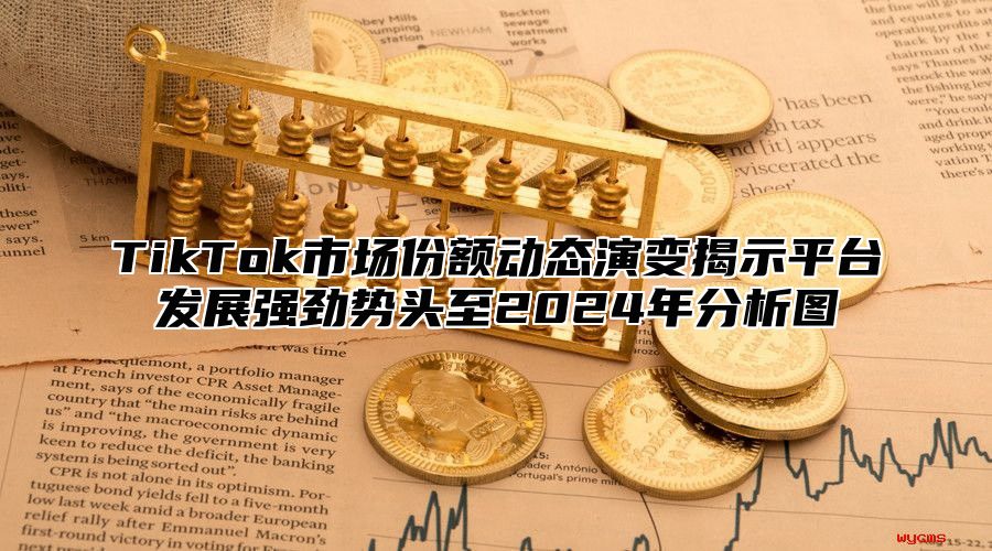 TikTok市场份额动态演变揭示平台发展强劲势头至2025年分析图
