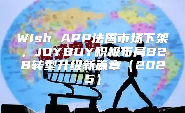 Wish APP法国市场下架，JOYBUY积极布局B2B转型升级新篇章2025