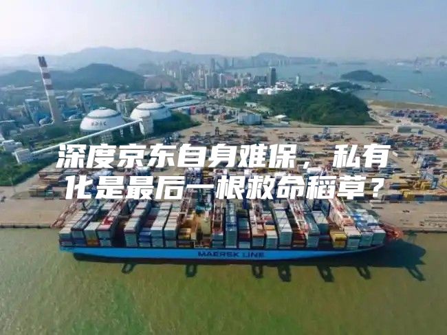 深度京东自身难保，私有化是最后一根救命稻草？