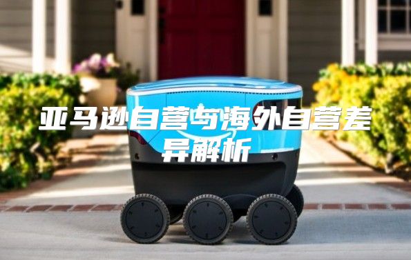 亚马逊自营与海外自营差异解析