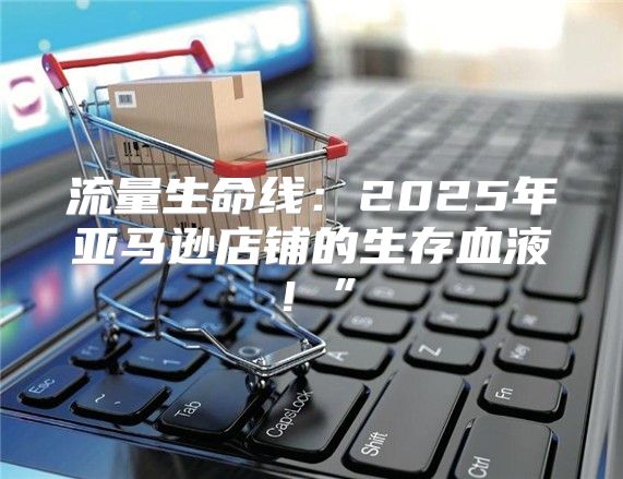 流量生命线：2025年亚马逊店铺的生存血液！”