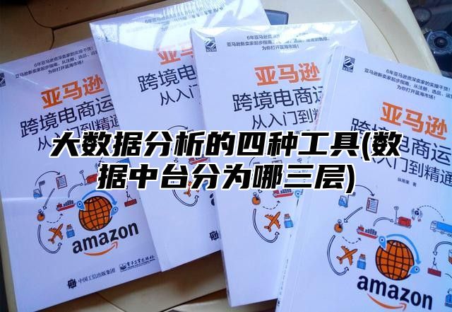 大数据分析的四种工具(数据中台分为哪三层)