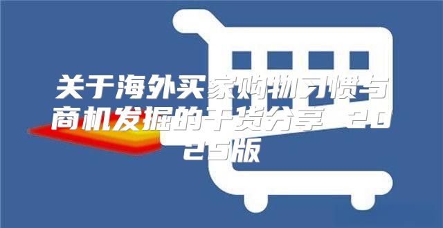 关于海外买家购物习惯与商机发掘的干货分享 2025版