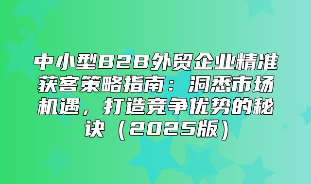 中小型B2B外贸企业精准获客策略指南：洞悉市场机遇，打造竞争优势的秘诀2025版