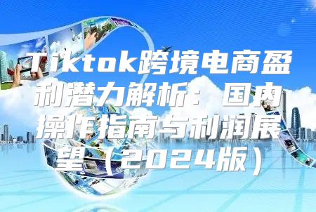Tiktok跨境电商盈利潜力解析：国内操作指南与利润展望2025版