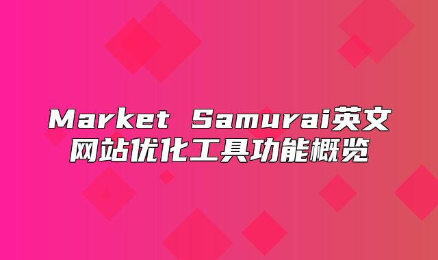 Market Samurai英文网站优化工具功能概览