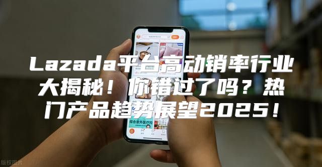 Lazada平台高动销率行业大揭秘！你错过了吗？热门产品趋势展望2025！