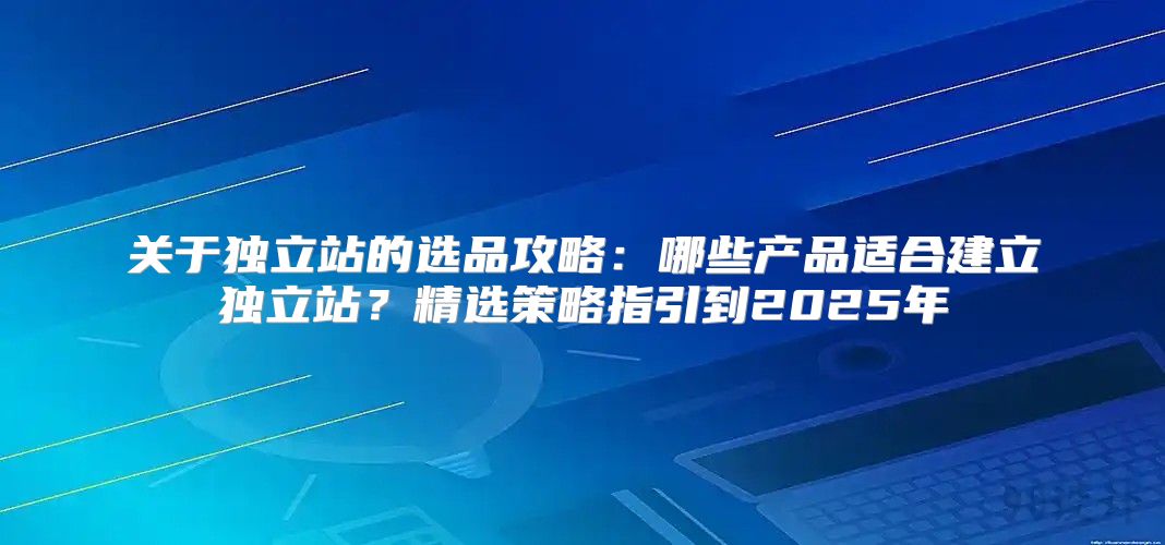 关于独立站的选品攻略：哪些产品适合建立独立站？精选策略指引到2025年