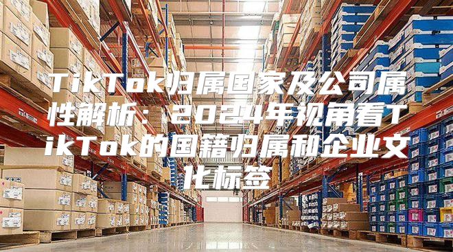 TikTok归属国家及公司属性解析：2025年视角看TikTok的国籍归属和企业文化标签