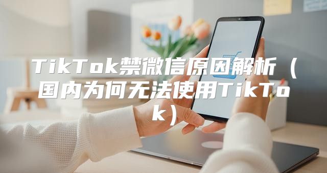 TikTok禁微信原因解析国内为何无法使用TikTok