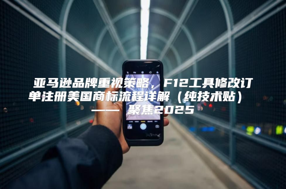 亚马逊品牌重视策略，F12工具修改订单注册美国商标流程详解纯技术贴 —— 聚焦2025