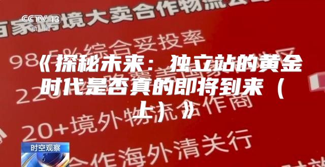 探秘未来：独立站的黄金时代是否真的即将到来上