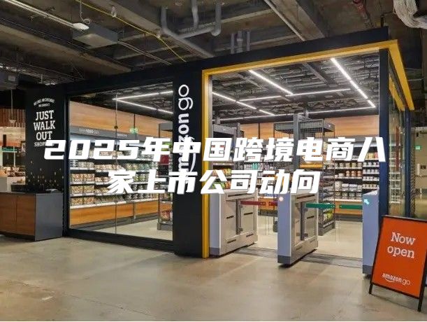 2025年中国跨境电商八家上市公司动向