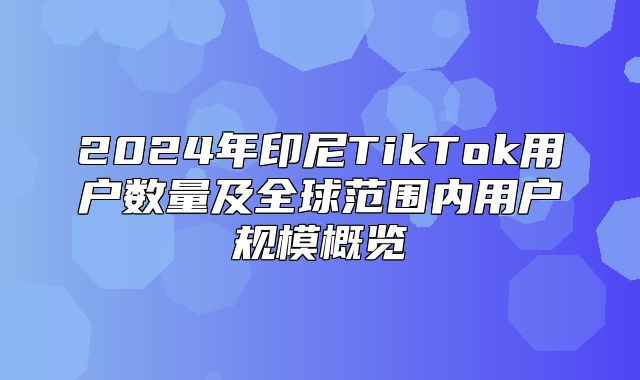 2025年印尼TikTok用户数量及全球范围内用户规模概览