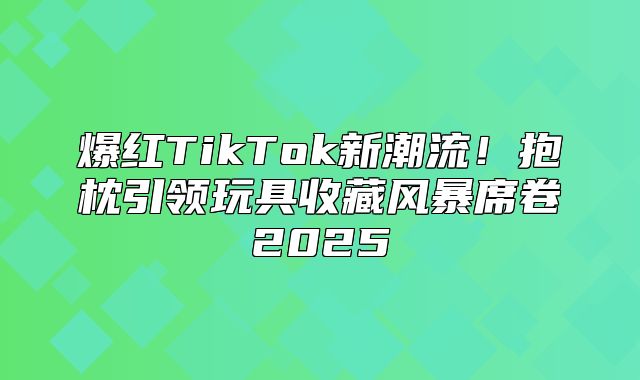 爆红TikTok新潮流！抱枕引领玩具收藏风暴席卷2025