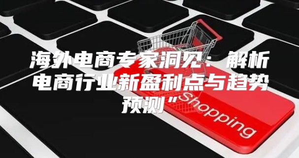 海外电商专家洞见：解析电商行业新盈利点与趋势预测”