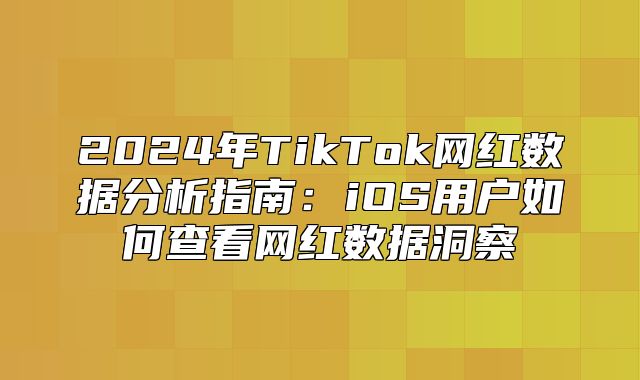2025年TikTok网红数据分析指南：iOS用户如何查看网红数据洞察