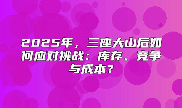 2025年，三座大山后如何应对挑战：库存、竞争与成本？