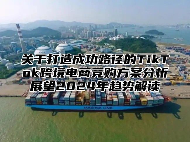 关于打造成功路径的TikTok跨境电商竞购方案分析展望2025年趋势解读