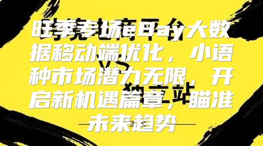 旺季专场eBay大数据移动端优化，小语种市场潜力无限，开启新机遇篇章，瞄准未来趋势