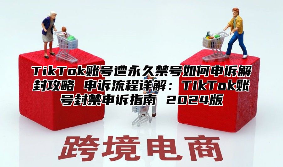 TikTok账号遭永久禁号如何申诉解封攻略 申诉流程详解：TikTok账号封禁申诉指南 2025版