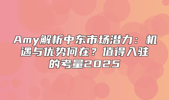 Amy解析中东市场潜力：机遇与优势何在？值得入驻的考量2025