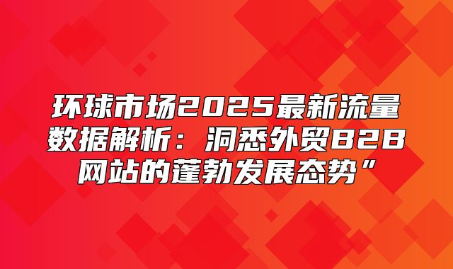 环球市场2025最新流量数据解析：洞悉外贸B2B网站的蓬勃发展态势”