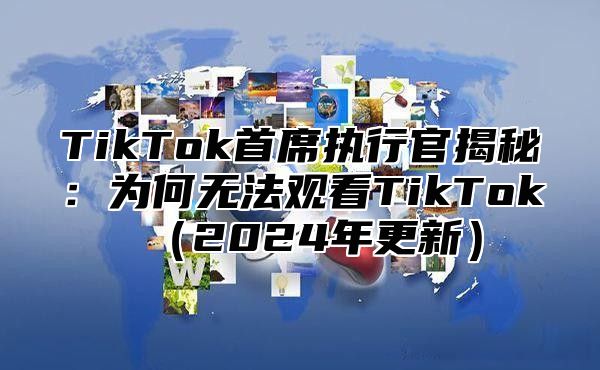 TikTok首席执行官揭秘：为何无法观看TikTok2025年更新