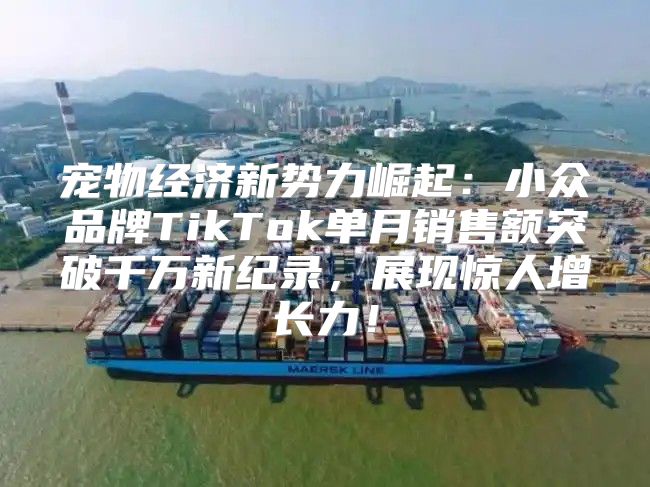 宠物经济新势力崛起：小众品牌TikTok单月销售额突破千万新纪录，展现惊人增长力！