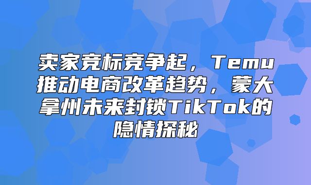 卖家竞标竞争起，Temu推动电商改革趋势，蒙大拿州未来封锁TikTok的隐情探秘