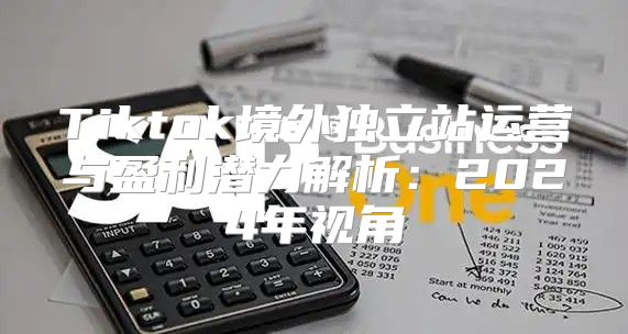 Tiktok境外独立站运营与盈利潜力解析：2025年视角