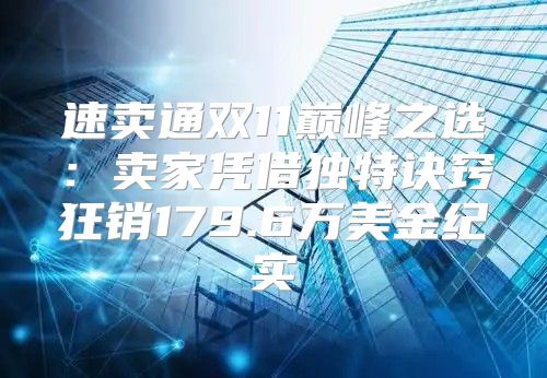 速卖通双11巅峰之选：卖家凭借独特诀窍狂销179.6万美金纪实