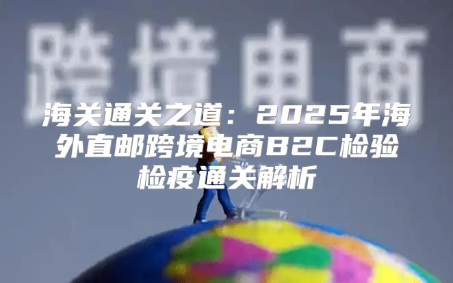 海关通关之道：2025年海外直邮跨境电商B2C检验检疫通关解析
