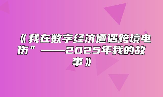 我在数字经济遭遇跨境电伤”——2025年我的故事